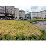 Zdjęcia użytkowników myPhone Cube Zdjęcia użytkowników myPhone Cube