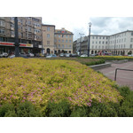 Zdjęcia użytkowników myPhone Cube Zdjęcia użytkowników myPhone Cube