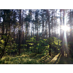 Zdjęcia użytkowników myPhone Cube Zdjęcia użytkowników myPhone Cube