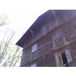 Zdjęcia użytkowników myPhone Fun 2