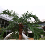 Zdjęcia użytkowników myPhone Fun 2