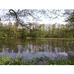 Zdjęcia użytkowników myPhone Fun 2