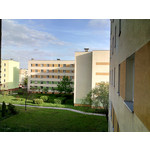 Zdjęcia użytkowników myPhone Fun 2