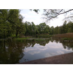 Zdjęcia użytkowników myPhone Fun 2