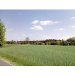 Zdjęcia użytkowników myPhone Fun 2