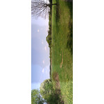 Zdjęcia użytkowników myPhone Fun 2