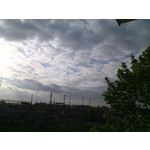 Zdjęcia użytkowników myPhone Fun 2