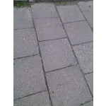 Zdjęcia użytkowników myPhone Fun 2