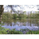 Zdjęcia użytkowników myPhone Fun 2