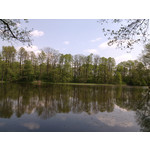 Zdjęcia użytkowników myPhone Fun 2