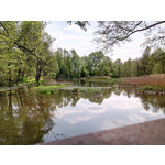 Zdjęcia użytkowników myPhone Fun 2