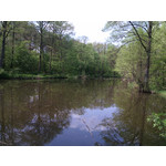 Zdjęcia użytkowników myPhone Fun 2