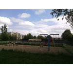 Zdjęcia użytkowników myPhone Fun 2