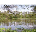 Zdjęcia użytkowników myPhone Fun 2