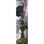 Zdjęcia użytkowników myPhone Fun 2