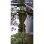 Zdjęcia użytkowników myPhone Fun 2