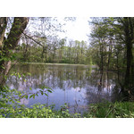 Zdjęcia użytkowników myPhone Fun 2