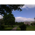 Zdjęcia użytkowników myPhone Fun 2