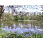 Zdjęcia użytkowników myPhone Fun 2