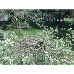 Zdjęcia użytkowników myPhone Fun 2