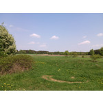 Zdjęcia użytkowników myPhone Fun 2