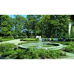 Zdjęcia użytkowników myPhone Funky 8 GB