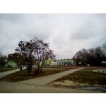 Zdjęcia użytkowników myPhone Go