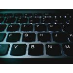 Zdjęcia użytkowników myPhone Halo 2