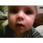 Zdjęcia użytkowników myPhone Halo 2