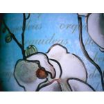 Zdjęcia użytkowników myPhone Halo 2