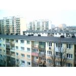 Zdjęcia użytkowników myPhone Halo 2