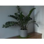 Zdjęcia użytkowników myPhone Hammer 3+ Zdjęcia użytkowników myPhone Hammer 3+