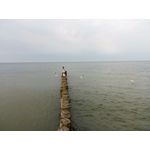 Zdjęcia użytkowników myPhone Hammer Axe LTE Zdjęcia użytkowników myPhone Hammer Axe LTE