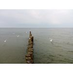 Zdjęcia użytkowników myPhone Hammer Axe LTE Zdjęcia użytkowników myPhone Hammer Axe LTE