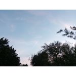 Zdjęcia użytkowników myPhone Hammer Axe LTE Zdjęcia użytkowników myPhone Hammer Axe LTE