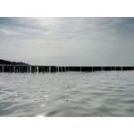 Zdjęcia użytkowników myPhone Hammer Axe LTE Zdjęcia użytkowników myPhone Hammer Axe LTE