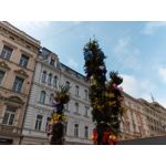 Zdjęcia użytkowników myPhone Hammer Axe M LTE