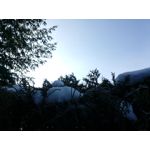 Zdjęcia użytkowników myPhone Hammer Axe Pro