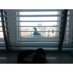 Zdjęcia użytkowników myPhone Hammer Axe Pro