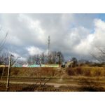 Zdjęcia użytkowników myPhone Hammer Axe Pro