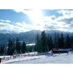 Zdjęcia użytkowników myPhone Hammer Axe Pro