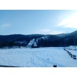 Zdjęcia użytkowników myPhone Hammer Axe Pro