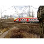 Zdjęcia użytkowników myPhone Hammer Axe Pro