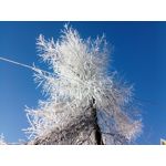 Zdjęcia użytkowników myPhone Hammer Axe Pro