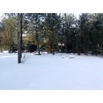 Zdjęcia użytkowników myPhone Hammer Axe Pro