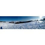 Zdjęcia użytkowników myPhone Hammer Axe Pro