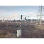 Zdjęcia użytkowników myPhone Hammer Axe Pro