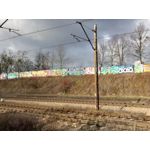 Zdjęcia użytkowników myPhone Hammer Axe Pro