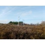 Zdjęcia użytkowników myPhone Hammer Axe Pro