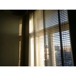 Zdjęcia użytkowników myPhone Hammer Axe Pro